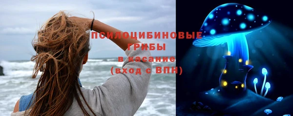 скорость mdpv Белокуриха