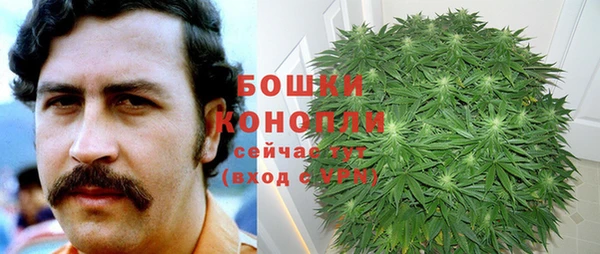 амф Беломорск